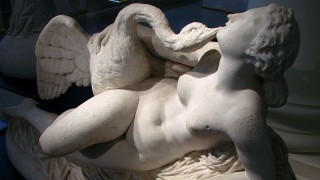 Transformaciones ilustres - Segmento dispositivo - DelSol 99.5 FM