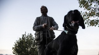 Le compré ración a un amigo y el perro se me murió: ¿qué pasa con esa amistad? - Sobremesa - DelSol 99.5 FM