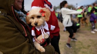 Perros que fueron moda - La Charla - DelSol 99.5 FM