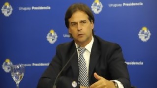 Lacalle y su anillo de voluntarismo mágico según Darwin - Columna de Darwin - DelSol 99.5 FM