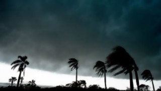 Darwin, los militares en Inumet y la salida de Talvi, que es un golero - Columna de Darwin - DelSol 99.5 FM