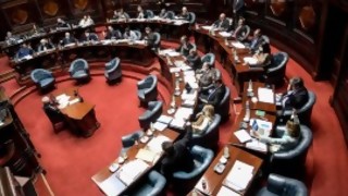 El debate sin argumentos del Parlamento y la banda de los perfumes - Columna de Darwin - DelSol 99.5 FM