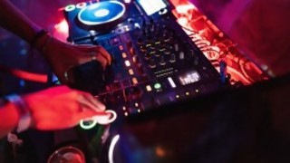 Darwin: avance del manual para reconocer un tira en la Noche de la Nostalgia y Kamala candidata a vice - Columna de Darwin - DelSol 99.5 FM