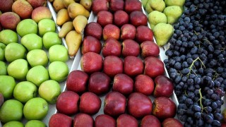 El descubrimiento de Darwin respecto al covicho y el mito del azúcar de las frutas - NTN Concentrado - DelSol 99.5 FM