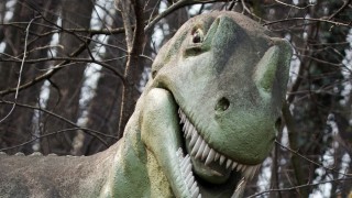 Dinosaurios carnívoros y los veganos que no tienen lugar en Uruguay - Columna de Darwin - DelSol 99.5 FM