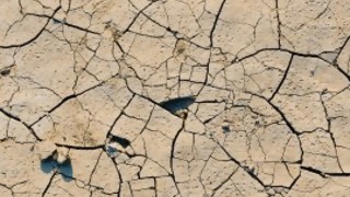 Ya nos cayó el coronavirus, ¿lo que viene es la seca? - Entrevista central - DelSol 99.5 FM