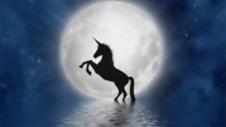 Darwin, el primer unicornio uruguayo y el destino común de periodistas y actores porno - Columna de Darwin - DelSol 99.5 FM