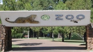 Precauciones para visitar el ZOO - Segmento humorístico - DelSol 99.5 FM