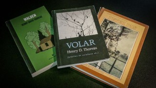 Pájaros, poemas, pieles rojas y Peter Pan - Ines Bortagaray - DelSol 99.5 FM