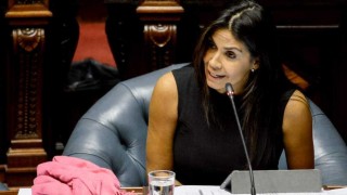 “Estudiar una familia que busca adoptar no puede llevar más de tres o cuatro meses” - Entrevistas - DelSol 99.5 FM