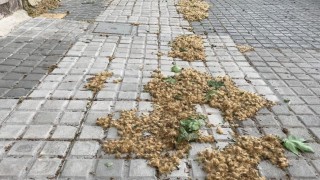 Nombres que determinan - Buen mediodía - DelSol 99.5 FM