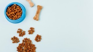 ¿Cuánto tiempo puede sobrevivir una persona ingiriendo únicamente alimento para perros y agua? - Sobremesa - DelSol 99.5 FM