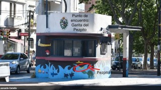 Sección de viejo rancio: Darwin no entiende ni los titulares/ Garitas policiales en desuso, una polémica desapasionante - Columna de Darwin - DelSol 99.5 FM
