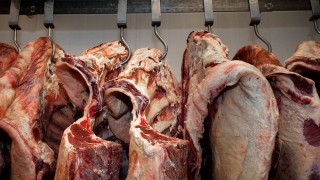 Exportaciones récord con la carne a China como principal impulso - Ricardo Leiva - DelSol 99.5 FM