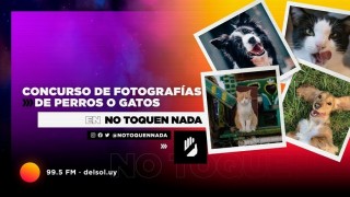 Concurso de fotos de mascotas: los fundamentos del jurado - Leo Barizzoni - DelSol 99.5 FM