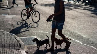 Los desafíos del gobierno para estimular la tenencia responsable de perros - NTN Concentrado - DelSol 99.5 FM