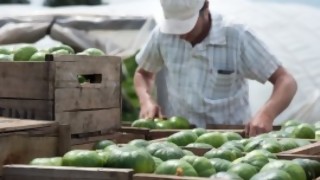 Audición “las aristas del zapallito”, oferta, demanda, uso/ Jugada maestra: ¿La API le pone un martillo neumático a Heber? - Columna de Darwin - DelSol 99.5 FM