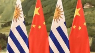Miedos locales y regionales al TLC con China/ Darín se hizo uruguayo, pobre/ Epílogo de las mascotas AUF - Columna de Darwin - DelSol 99.5 FM