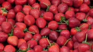 Frutillas, no solo en ensalada de frutas - Al Plato - DelSol 99.5 FM