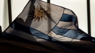 Ultracentrismo recalcitrante uruguayo: las únicas concesiones al exceso son el agua hirviendo del mate y el chivito - Darwin concentrado - DelSol 99.5 FM
