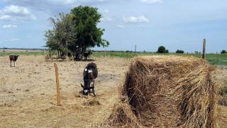 El dilema del veraneante: ¿banca la lluvia o que siga la sequía? - Arranque - DelSol 99.5 FM