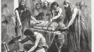 Verdadero o falso: el cuerpo humano - Segmento humorístico - DelSol 99.5 FM