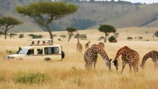Turismo aventura: lugares para ver animales salvajes - Segmento dispositivo - DelSol 99.5 FM