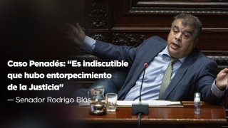 Caso Penadés: “Es indiscutible que hubo entorpecimiento de la Justicia”, afirmó Rodrigo Blás - Entrevistas - DelSol 99.5 FM