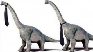 Verdadero o Falso - Segmento humorístico - DelSol 99.5 FM