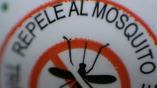 Los factores de la uruguayización del dengue/ Último Papasso Celeste - Columna de Darwin - DelSol 99.5 FM