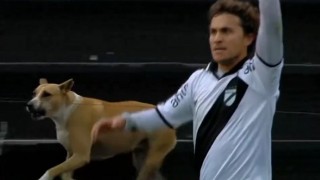 Un perro que festeja los goles - Entrada en calor - DelSol 99.5 FM