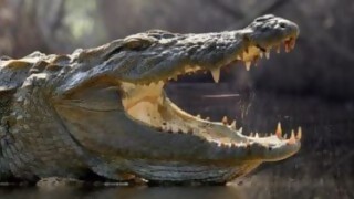 Consejos para sobrevivir a situaciones peligrosas - Segmento humorístico - DelSol 99.5 FM