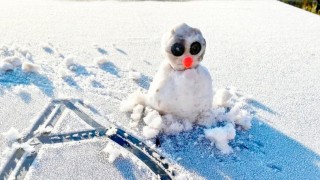 Las historias de vida del muñeco de no nieve de Mercedes - Darwin concentrado - DelSol 99.5 FM