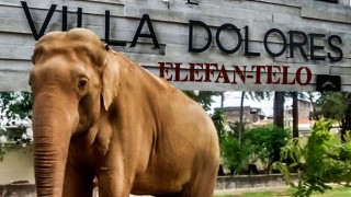 ¿Había un bulo en el zoológico de Villa Dolores? - Arranque - DelSol 99.5 FM