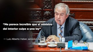 “Me parece increíble que el ministro del Interior culpe a una ley” - Entrevistas - DelSol 99.5 FM