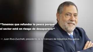 “Tenemos que refundar la pesca porque el sector está en riesgo de desaparecer” - Entrevistas - DelSol 99.5 FM