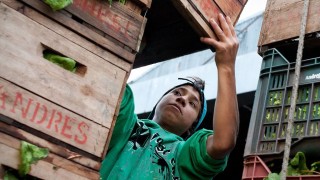 Trabajo infantil: “Estamos por debajo del promedio regional pero no debería existir” - Entrevistas - DelSol 99.5 FM