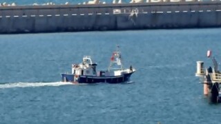 Flotilla a Gaza, barquitos en el Senado  - Arranque - DelSol 99.5 FM