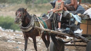 Los datos y los criterios del trabajo infantil en Uruguay - Informes - DelSol 99.5 FM