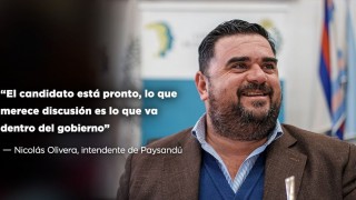 “El candidato está pronto, lo que merece discusión es lo que va dentro del gobierno” - Entrevistas - DelSol 99.5 FM