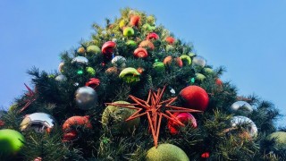 ¿El día de la virgen o el día de la playa? - Entrada en calor - DelSol 99.5 FM