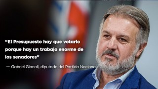 “El Presupuesto hay que votarlo porque hay un esfuerzo enorme de los senadores” - Entrevistas - DelSol 99.5 FM