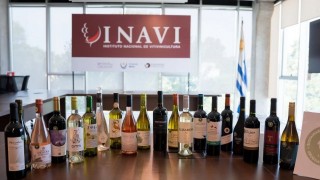 Vinos uruguayos: un plan de reconversión - Hoy nos dice - DelSol 99.5 FM