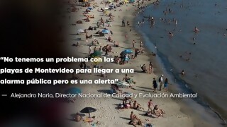 “No tenemos un problema con las playas de Montevideo para llegar a una alarma pública pero es una alerta” - Entrevistas - DelSol 99.5 FM