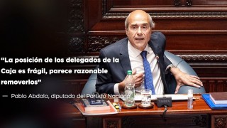 “La posición de los delegados de la Caja es frágil, parece razonable removerlos” - Entrevistas - DelSol 99.5 FM
