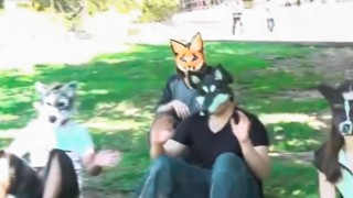 ¿Therians en Uruguay? - Audios - DelSol 99.5 FM