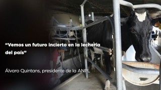 “Vemos un futuro incierto en la lechería del país”  - Entrevistas - DelSol 99.5 FM