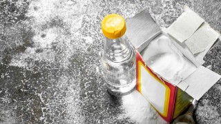 Bicarbonato: El rey de la casa - El buen vivir - DelSol 99.5 FM