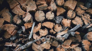 Leña oreada vs leña seca - El buen vivir - DelSol 99.5 FM