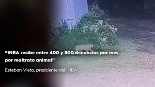 “INBA recibe entre 400 y 500 denuncias por mes por maltrato animal” - Entrevistas - DelSol 99.5 FM